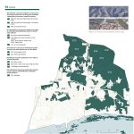 5 Directrius cartografia_1_nodes_vertical